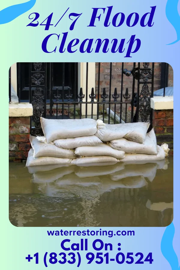 24/7 Flood Cleanup in Steen, MN
